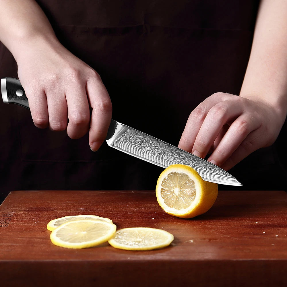 Japanese Utility Knife 5 Inch Damascus Kitchen Petty Knife VG10 67 Layer Razor Sharp Cutting Fruit Carving Chef’s Paring Knives