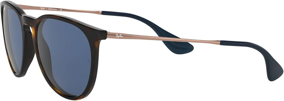 Ray-Ban RB4171 Erika round Sunglasses for Women for Men