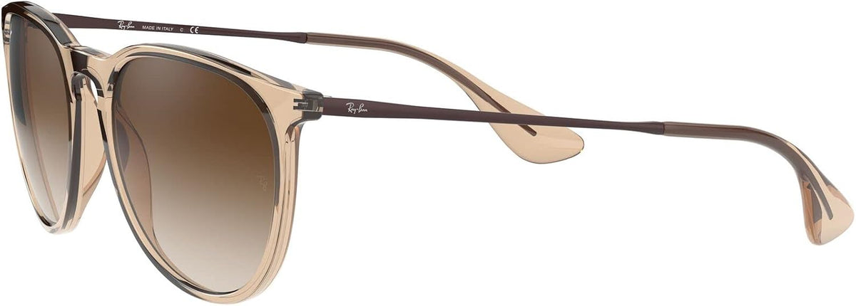Ray-Ban RB4171 Erika round Sunglasses for Women for Men