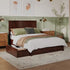 Madison Walnut Brown Solid Wood Frame Queen Platform Bed with Matching Footboard and Storage Drawers