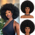 Afro Wig 70S Curly Wigs for Black Women Glueless Afro Wigs Large Bouncy and Soft Natural Looking Full Wigs Big Afro Puff Wig with Bangs Synthetic Hair Wig for Daily (1B