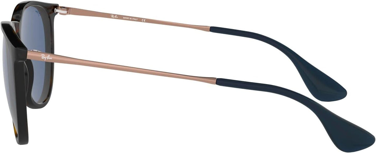 Ray-Ban RB4171 Erika round Sunglasses for Women for Men