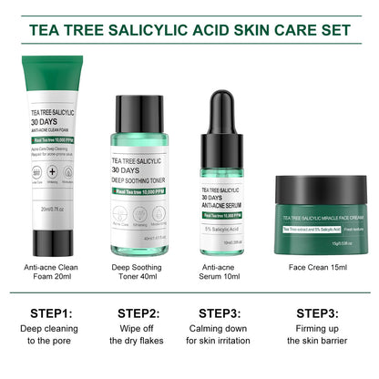 Tea Tree Salicylic Acid Facial Skin Care Set, Acne Treatment Skincare Set