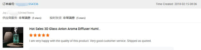 3D Creative Glass Essential Oil Diffuser with 200ml Capacity Aroma Mist Humidifier for Hotels US Plug