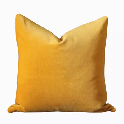 Modern Nordic Style Square Velvet Pillow Covers Soft Polyester Filled Removable Washable Woven Animal/Solid Pattern Decor