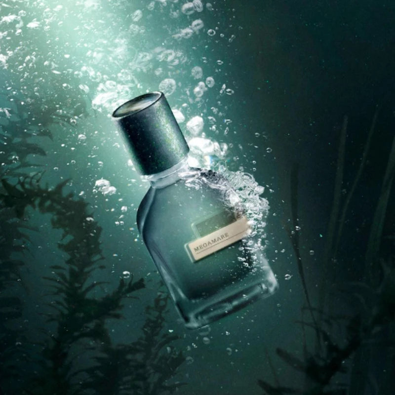 Luxury Perfume Elegant Unisex Eau De Parfum Four Fragrance Options Woody Oriental Aquatic Aromatic Leather Fresh Lasting 50ml