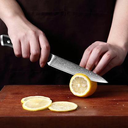 Japanese Utility Knife 5 Inch Damascus Kitchen Petty Knife VG10 67 Layer Razor Sharp Cutting Fruit Carving Chef’s Paring Knives