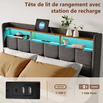 Rosahqnda Upholstered Double Bed 160 x 200 cm, Bed 180 x 200 cm with Storage Box, Storage Bed with 4 Drawers and LED Lighting