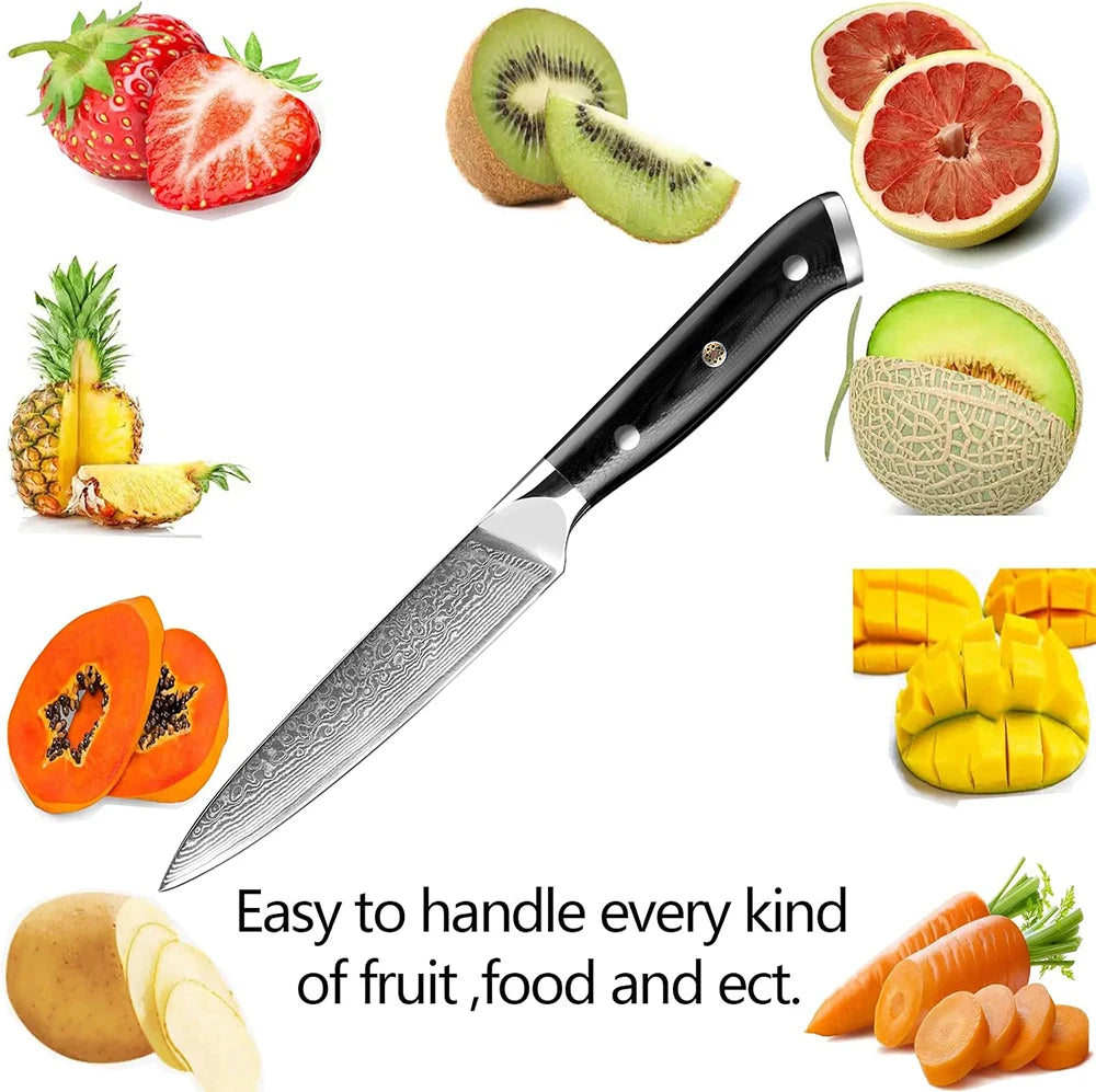 Japanese Utility Knife 5 Inch Damascus Kitchen Petty Knife VG10 67 Layer Razor Sharp Cutting Fruit Carving Chef’s Paring Knives
