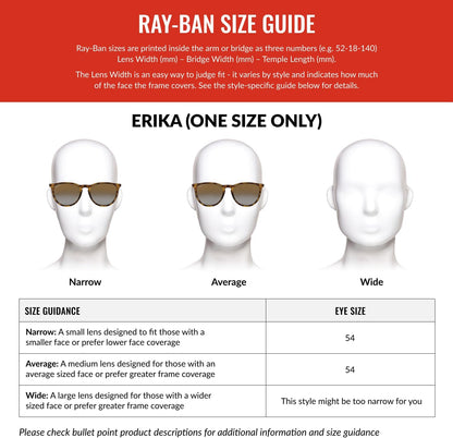 Ray-Ban RB4171 Erika round Sunglasses for Women for Men