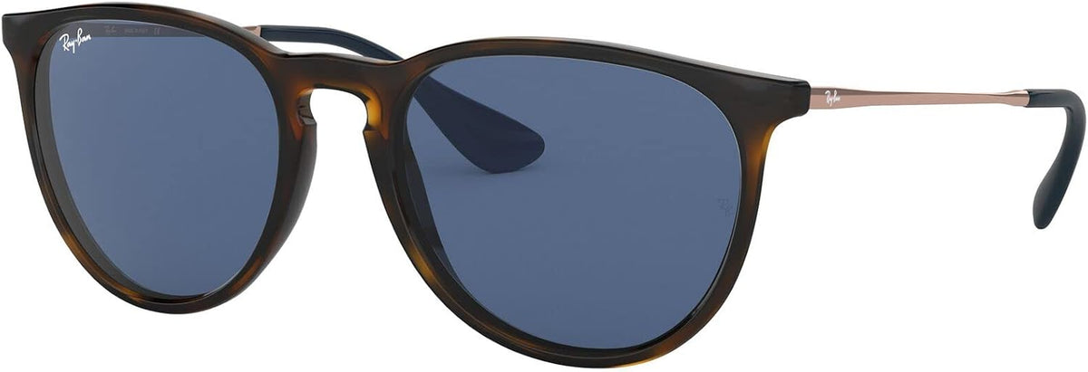 Ray-Ban RB4171 Erika round Sunglasses for Women for Men